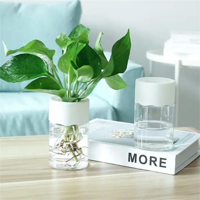 Mini Hydroponic Flower Pot Home Vase Pack Of 2 - My Store