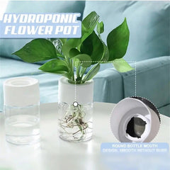 Mini Hydroponic Flower Pot Home Vase Pack Of 2 - My Store