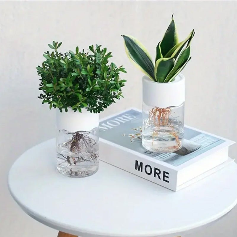 Mini Hydroponic Flower Pot Home Vase Pack Of 2 - My Store