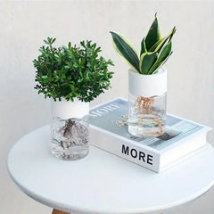 Mini Hydroponic Flower Pot Home Vase Pack Of 2 - My Store