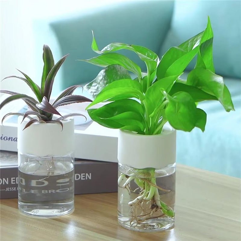 Mini Hydroponic Flower Pot Home Vase Pack Of 2 - My Store